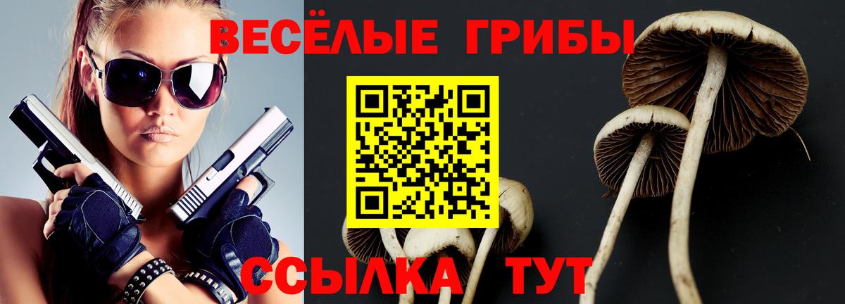 дарнет шоп  Псилоцибиновые грибы Psilocybine cubensis  Вход с VPN  Псилоцибиновые грибы мицелий  Асино 